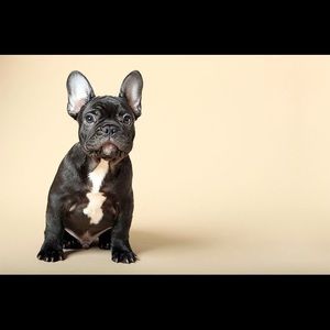 Meet your Posher, Pink de Punk